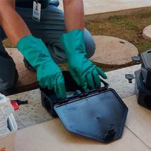 Desratização em SP